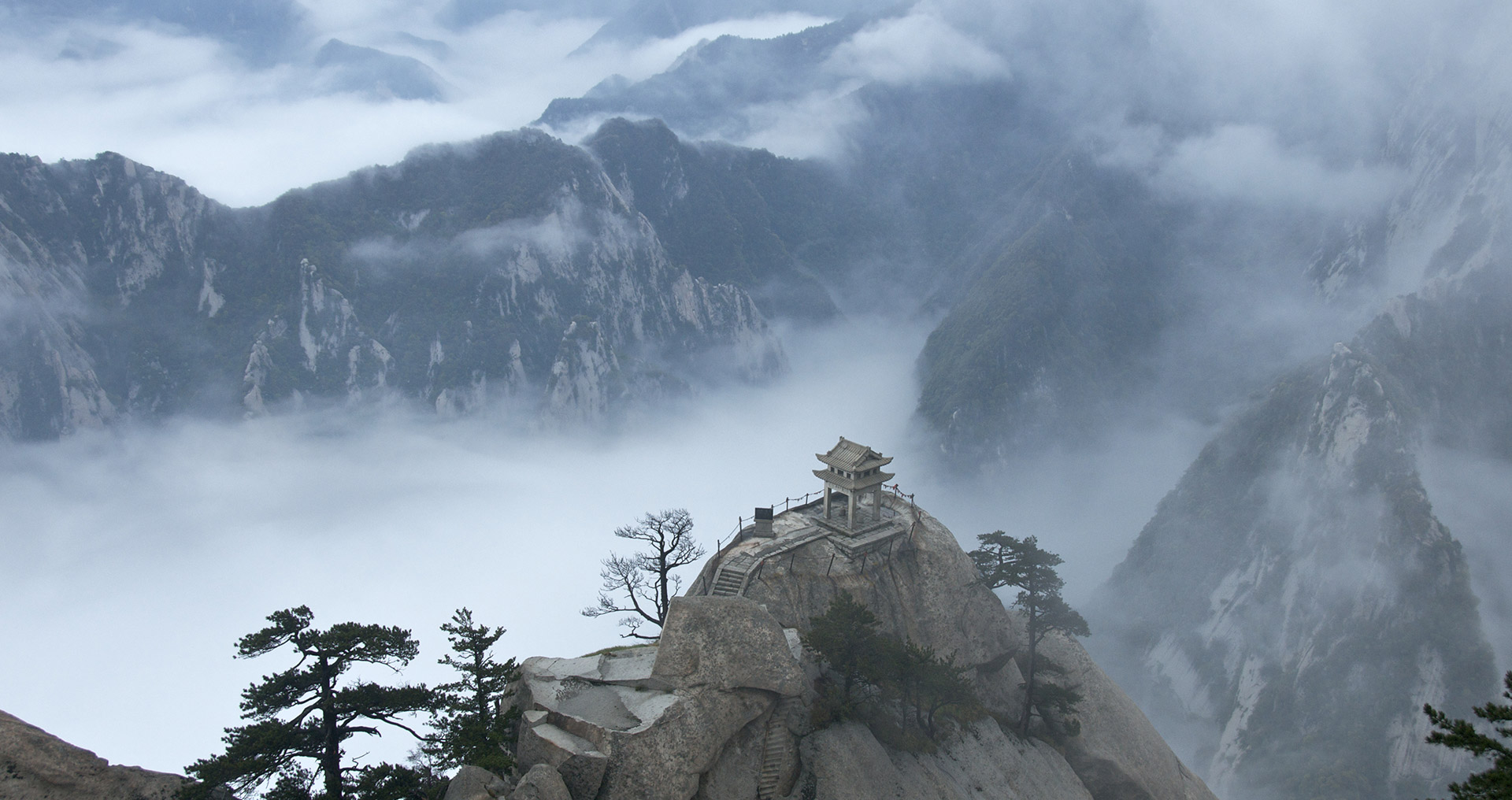 网络手机号在线发送